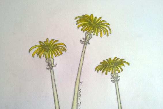 WP_20160708_16_38_54_Pro