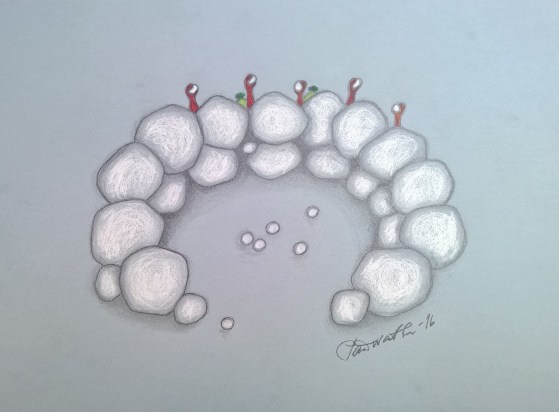 WP_20160722_17_00_23_Pro